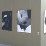 Inspired by the idea of deleted boundaries of the body, extended body and consciousness.