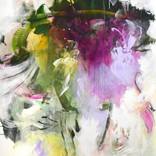 Collection New This Week 12-02-2024