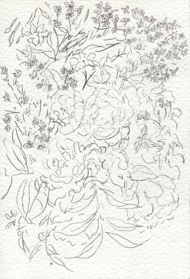 Original Abstract Botanic Drawings by Corn Shuk Mei Ho