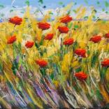 fiori e colori by Adelio Bonacina