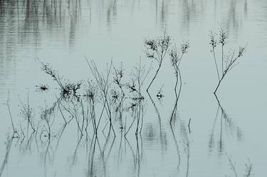 Print of Nature Photography by Uri Cohen