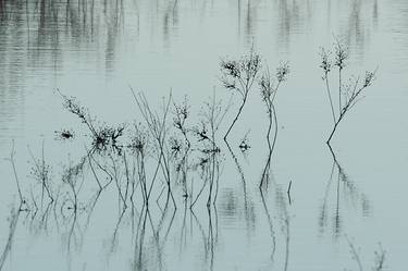 Original Fine Art Nature Photography by Uri Cohen