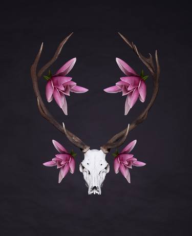 Deer Skull with Magnolias (limited  edition 50 prints ) thumb
