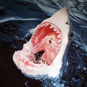Collection It's Shark Week: Inspired by Jaws