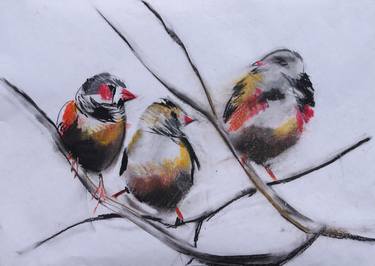 Original Fine Art Animal Drawings by Roland Weight