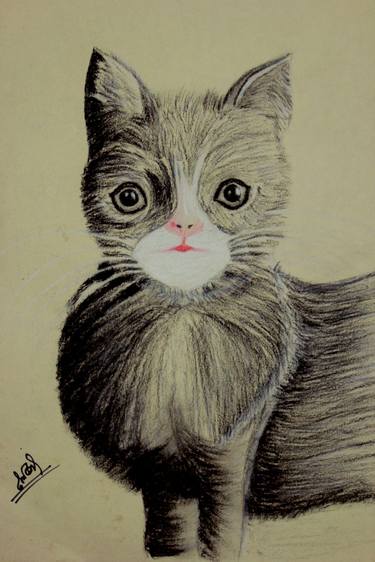 Original Cats Drawing by Tanjila Dola