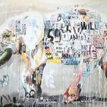 White Elephant by Jasmin Hilmer