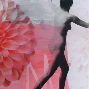 Collection Dynamic Mixed Media