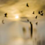 Collection Art for a Warm Welcome