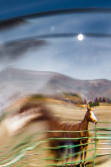 Original Abstract Horse Photography by MAZ MAHJOOBI