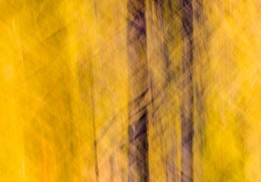 Original Abstract Expressionism Abstract Photography by MAZ MAHJOOBI