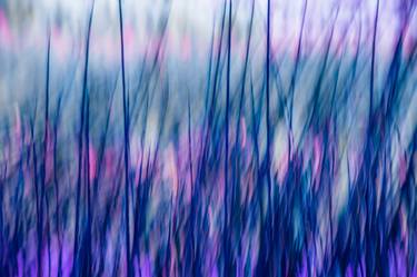 Original Abstract Photography by MAZ MAHJOOBI