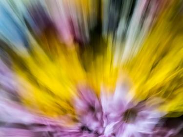 Original Abstract Floral Photography by MAZ MAHJOOBI