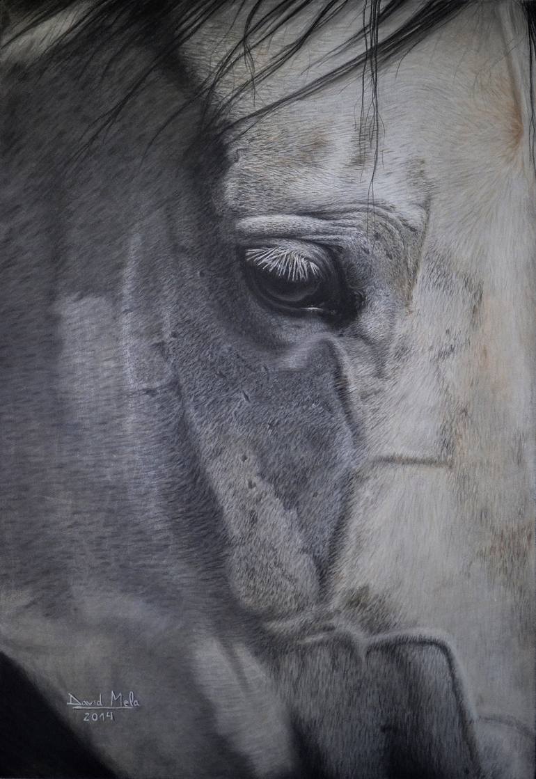 Horse Iii Drawing By David Mela Saatchi Art Maa durga drawing/durga puja drawing/ananda mela drawing/2020. saatchi art