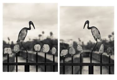 Ballona Creek Egrets after the Rain - Limited Edition 1 of 25 thumb