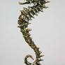 Lady Seahorse (gold), Bronze, 2016, H:29cm, L:11cm, W:5cm, limited edition of 15 (only 2 in this patina)