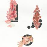Floral Objects #4 by Joris Göritz