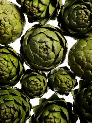 STILL LIFE, Artichokes thumb