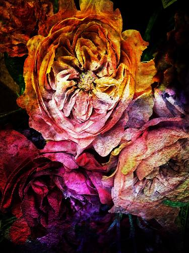 Print of Abstract Expressionism Floral Photography by Dan Staiculescu