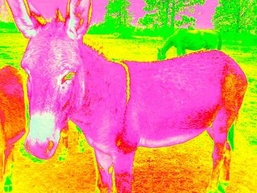 The PInk Donkey - Limited Edition of 25 thumb