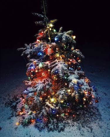 Saatchi Art Artist Joe Papagoda; Photography, “Christmas Tree Photograph in the Night Snow” #art