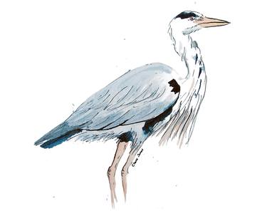 Grey Heron thumb