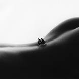 Collection Fresh Perspectives: New Photography