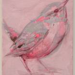 wren on pink by Kim Kimbro