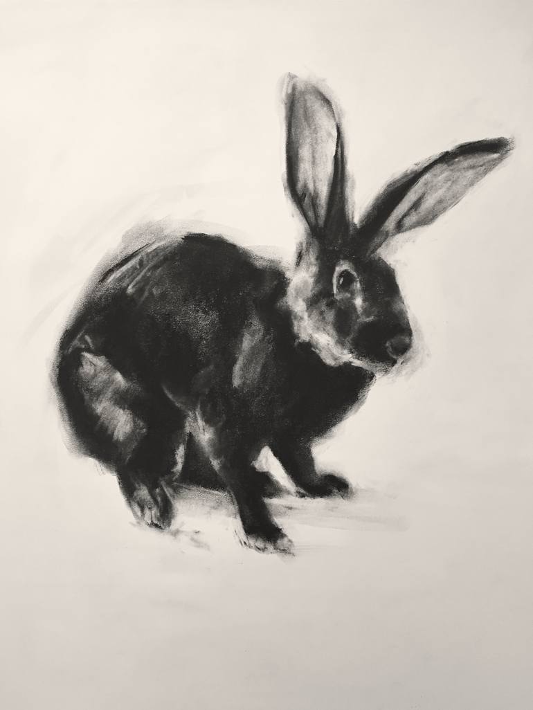 charcoal bunny drawing