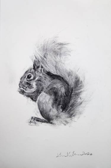 charcoal squirrel #1 thumb