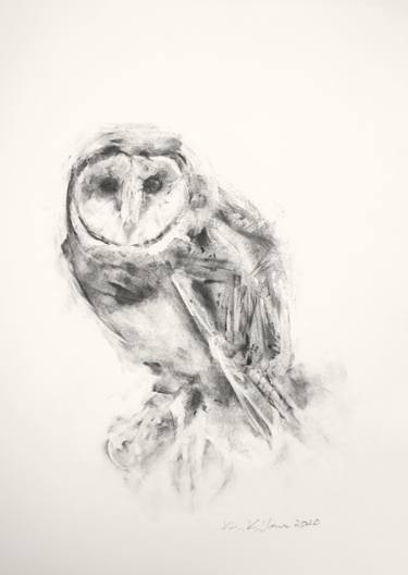 Original Fine Art Animal Drawings by Kim Kimbro