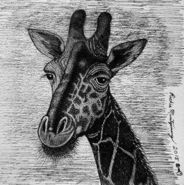 Original Expressionism Animal Drawings by Richie Montgomery
