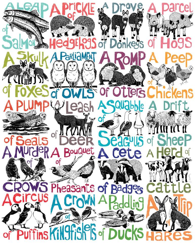 Image result for collective nouns for animals artwork