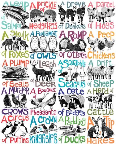 A Collection of Collective Nouns thumb