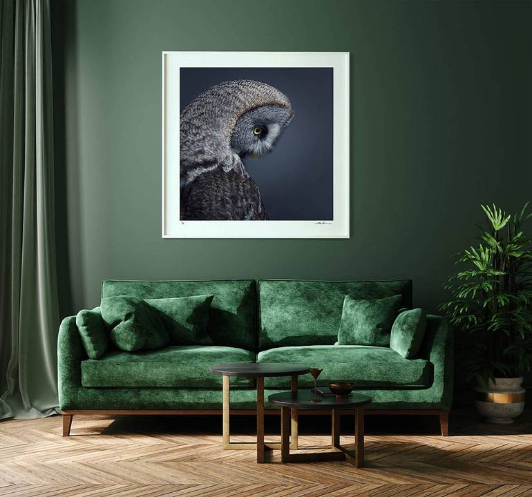 Original Other Animal Photography by Mark Harvey