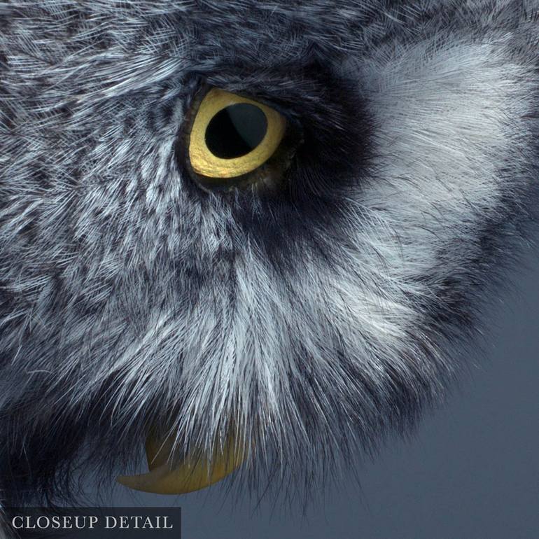 Original Other Animal Photography by Mark Harvey