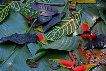 Monkey Eco Art in the Amazon Rainforest thumb