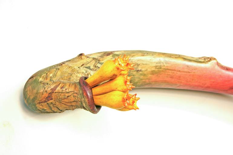 Original Other Botanic Sculpture by Jerry C Monteith