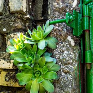 Collection Rustic, industrial, vintage photos