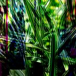 Collection Manipulated photos