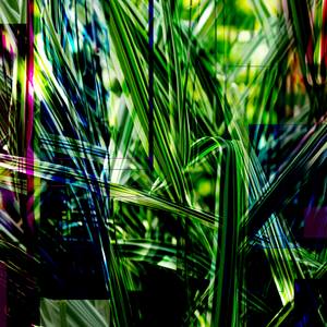 Collection Manipulated photos