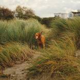 Collection Color photography