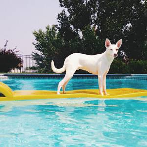 "Summer Fun" by Whitney Ivie