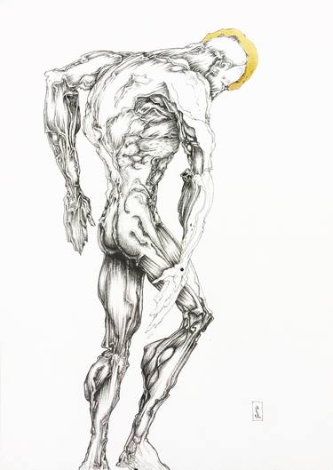 Original Body Drawings by Newton Scheufler
