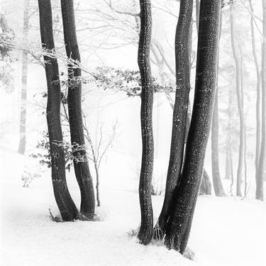 Beskid Mountains. thumb