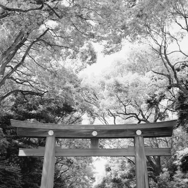 Torii gate, Meiji Jingu, Tokyo, Japan. thumb