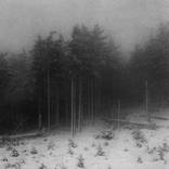 Beskid Mountains, Poland. by Rafal Krol