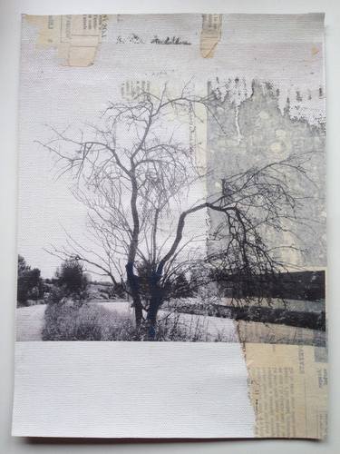 Print of Figurative Tree Collage by loida comabella