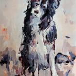 Collection DOGS ONLY