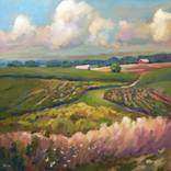 Summer fields by Sri Rao